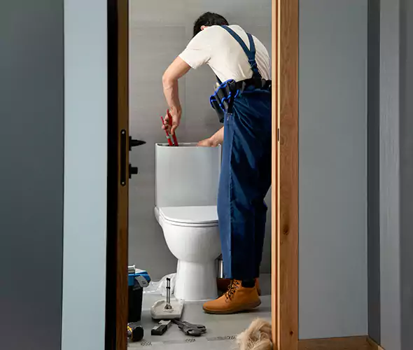 Professional Plumbers for Toilet Bowl Replacement in Highland Park, IL: Schedule Affordable Toilet Replacement Services With Us