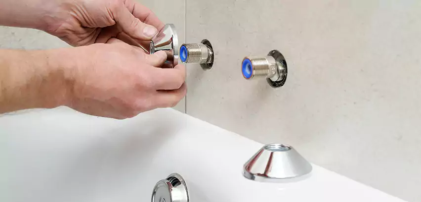 Bathtub Faucet Diverter Replacement in Highland Park