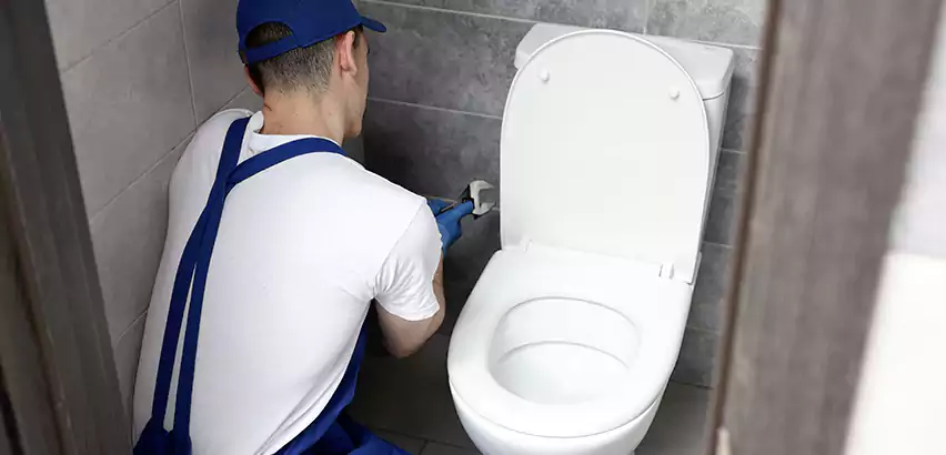 Toilet Lid Replacement in Highland Park