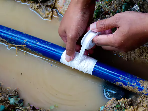  Why Choose Highland Park Plumbing Pro for Leak Detection in Highland Park, IL?]